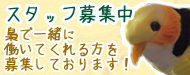 スタッフ募集中!